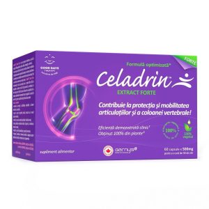 Celadrin Extract Forte 500 mg Celadrin Extract Forte 500 mg, 60 capsule, Good Days Therapy