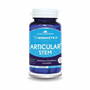 HERBAGETICA Articular Stem HERBAGETICA Articular Stem, 60 capsule