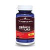 HERBAGETICA Branca Marelui Urs HERBAGETICA Branca Marelui Urs, 60 capsule