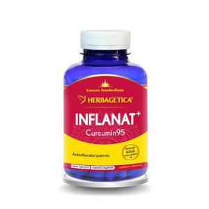 HERBAGETICA Inflanat Curcumin95, 120 capsule