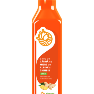 Sirop de Catina cu Ghimbir, 250ml, Orange Valley