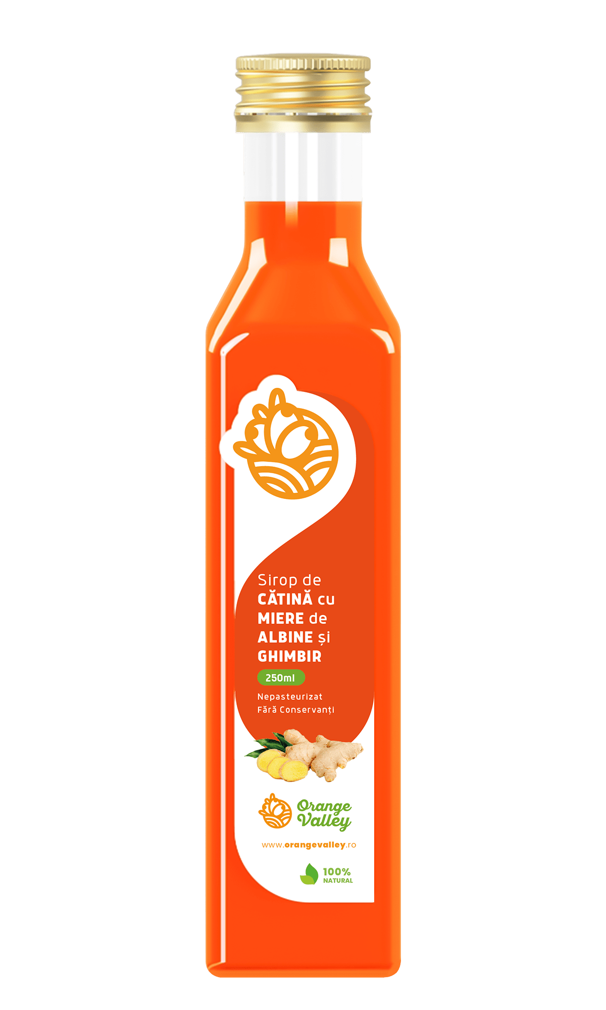 Sirop de Catina cu Ghimbir, 250ml, Orange Valley