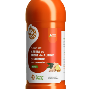 Sirop de Catina cu Ghimbir, 500 ml, Orange Valley