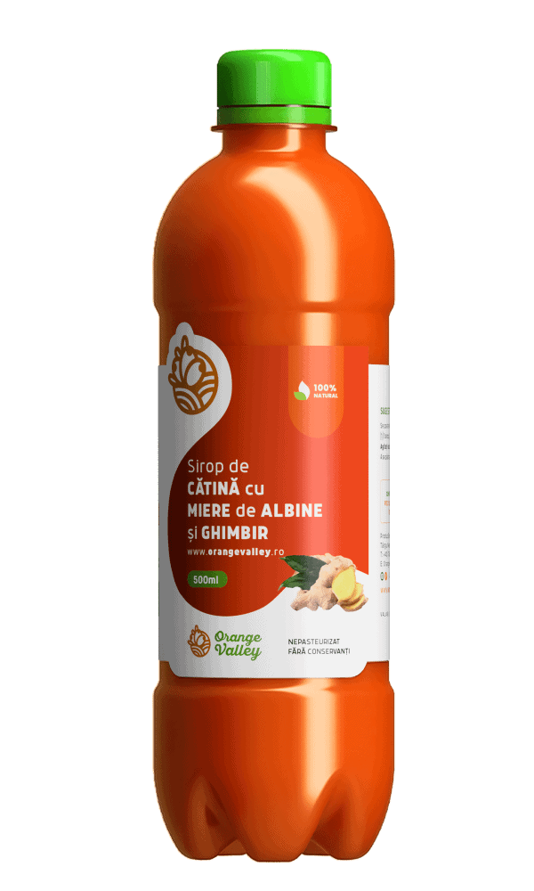 Sirop de Catina cu Ghimbir, 500 ml, Orange Valley