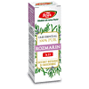 Ulei Esential Rozmarin, x10ml, Fares