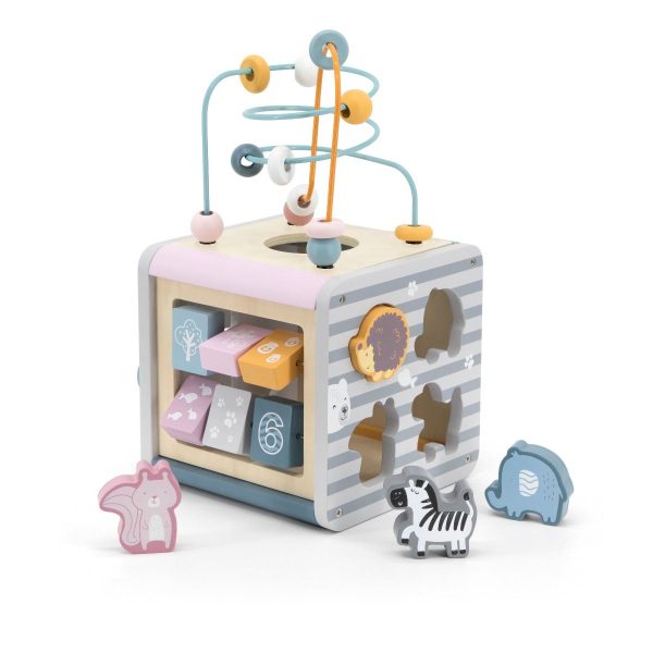 Centru de Activitati 5 in 1, Polar B