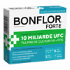 Bonflor Forte, 10 capsule, Fiterman Pharma