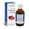 Polygemma Nr.19 Glicemie, 50 ml, Plant Extrakt