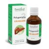 Polygemma Nr. 2 Cai Biliare, 50 ml, Plant Extrakt