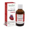 Polygemma Nr. 23 Cradio, 50 ml, Plant Extrakt