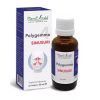 Polygemma Nr. 4 Sinusuri , 30 ml, Plant Extrakt