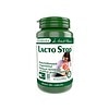 Lacto Stop - Pro Natura Capsule Lacto Stop pentru echilibru digestiv, 60 capsule, Pro Natura.