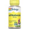 SECOM, Astragalus, 100 Capsule, Solaray