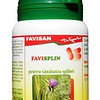 favisplin-70-capsule-favisan-o25866-farmacia-morpheus Favisplin, 70 Capsule, Favisan