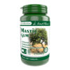 Mastic Gum, 60 Capsule, Pro Natura