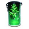 Ceai Verde Superior 100 g, Naturalia Diet