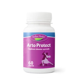 Arto Protect, 60 Capsule, Indian Herbal