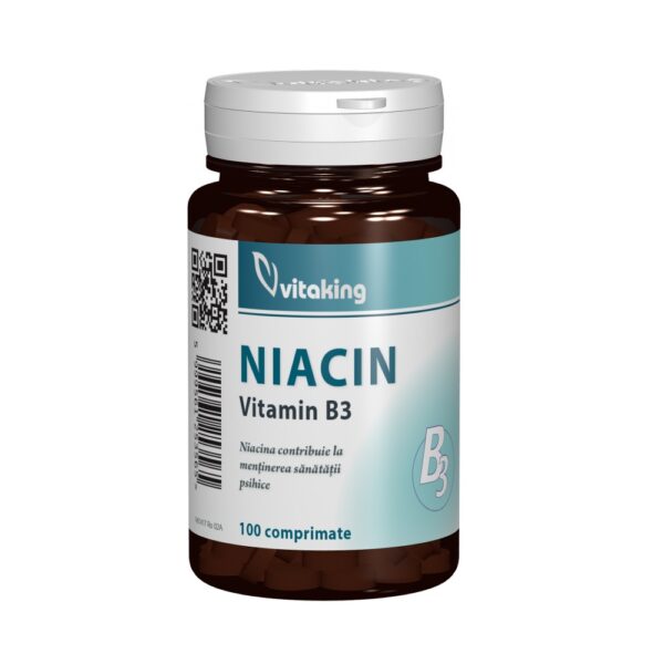 Niacina Vitamina B3, 100 mg, 100 Comprimate, Vitaking