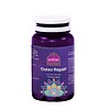 Osteo Repair, supliment natural pentru sănătatea oaselor și articulațiilor.