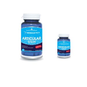 Articular Stem 60+10 Capsule, Herbagetica