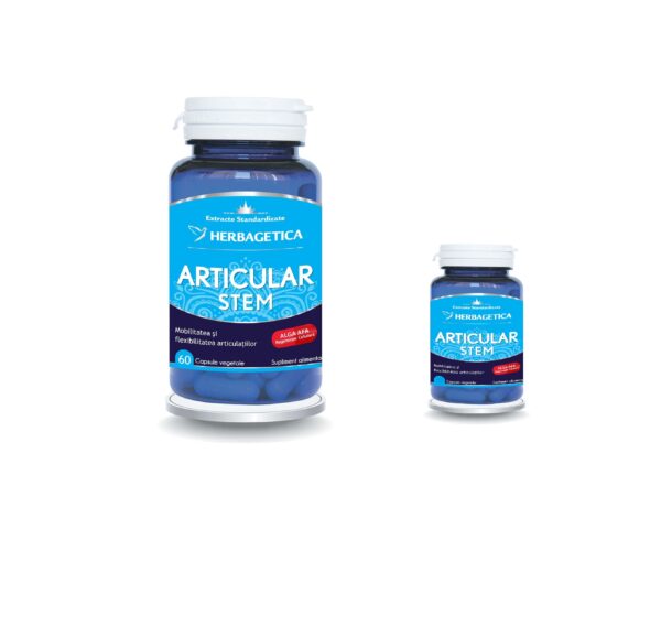 Articular Stem 60+10 Capsule, Herbagetica