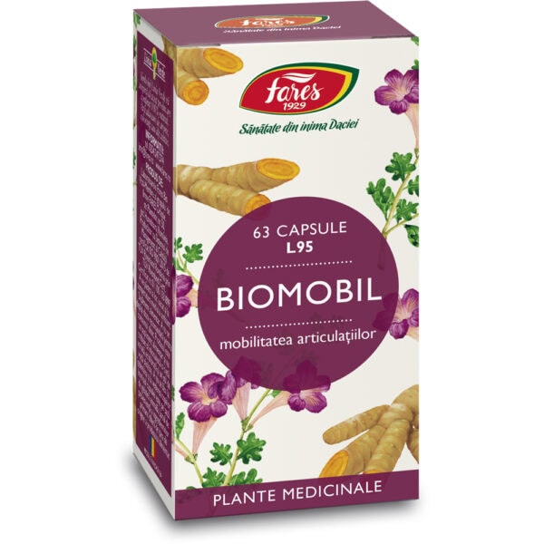 Biomobil, L95, 63 Capsule, Fares