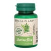 boswellia-60-comprimate-dacia-plant-o24921-farmacia-morpheus Boswellia, 60 Comprimate, Dacia Plant