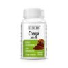 Chaga, 500 mg, 30 Capsule Vegetale, Zenyth