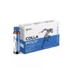 collamouv-14-fiole-x-25-ml-deutsche-heilmittel-gmbh-O29724-farmacia-morpheus Collamouv, 14 Fiole x 25 ml, Deutsche Heilmittel GmbH