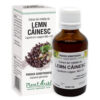 Extract din Mladite de Lemn Cainesc, 50 ml, Plant Extrakt