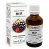 Extract din Mladite de Mur, 50 ml, Plant Extrakt