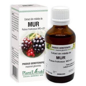 Extract din Mladite de Mur, 50 ml, Plant Extrakt
