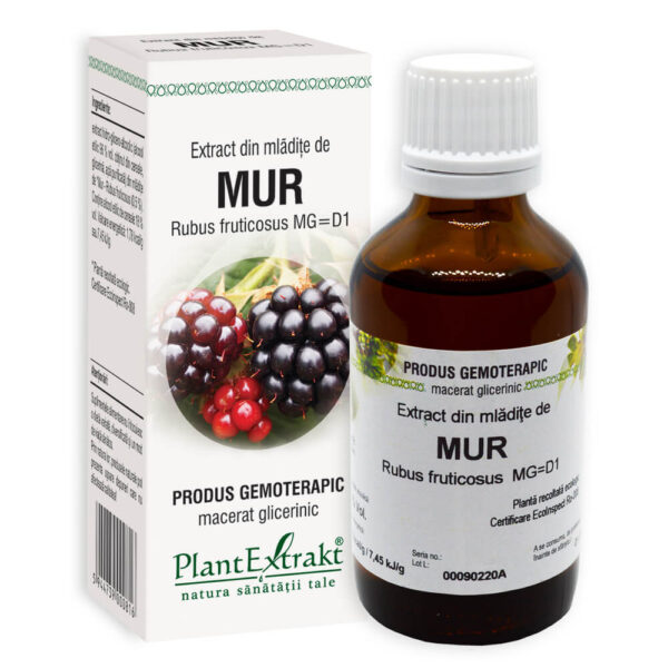 Extract din Mladite de Mur, 50 ml, Plant Extrakt