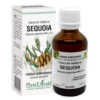 Extract din Mladite de Sequoia, 50 ml, Plant Extrakt