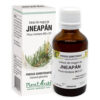 extract-din-muguri-de-jneapan-50-ml-plant-extract-o28309-farmacia-morpheus Extract din Muguri de Jneapan. 50 ml, Plant Extrakt
