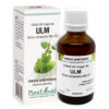 Extract din Muguri de Ulm, 50 ml, Plant Extrakt