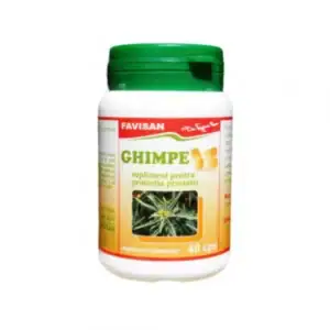 Ghimpe, 40 Capsule, Favisan