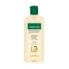 Sampon Sebum Control 250 ml, Gerovital
