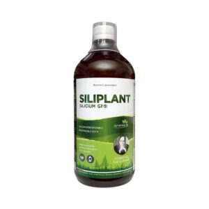 Siliciu Organic G7 Siliplant, 1000 ml, Silicium Espana Laboratorios