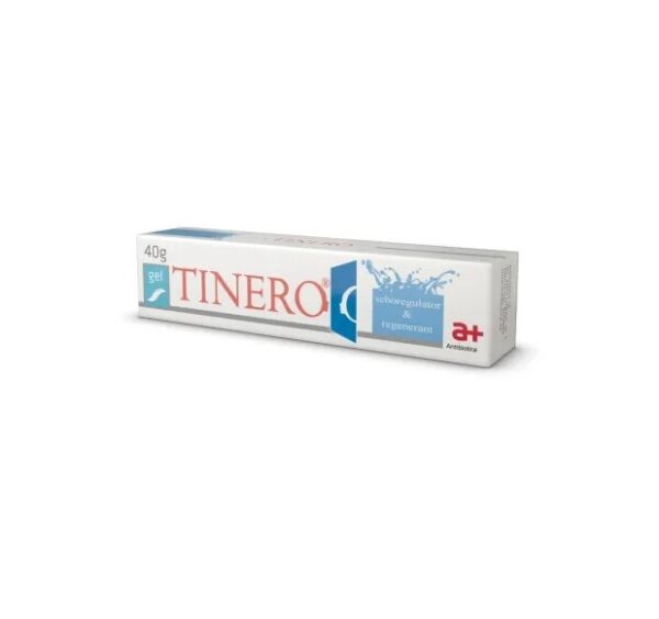 Tinero gel, 40 g, Antibiotice SA