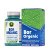 Bor Organic, 60 Capsule, Hypericum