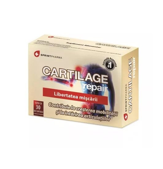cartilage-repair-30-capsule-sprint-pharma-o26234-farmacia-morpheus Cartilage Repair, 30 Capsule, Sprint Pharma