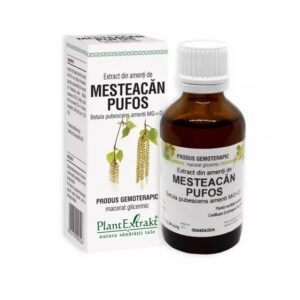 Extract din Amenti de Mesteacan Pufos, 50 ml, Plant Extrakt