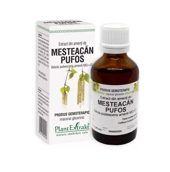 Extract din Amenti de Mesteacan Pufos, 50 ml, Plant Extrakt