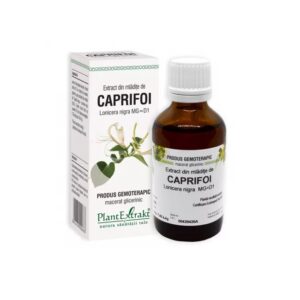 Extract din Mladite de Caprifoi, 50 ml, Plant Extrakt