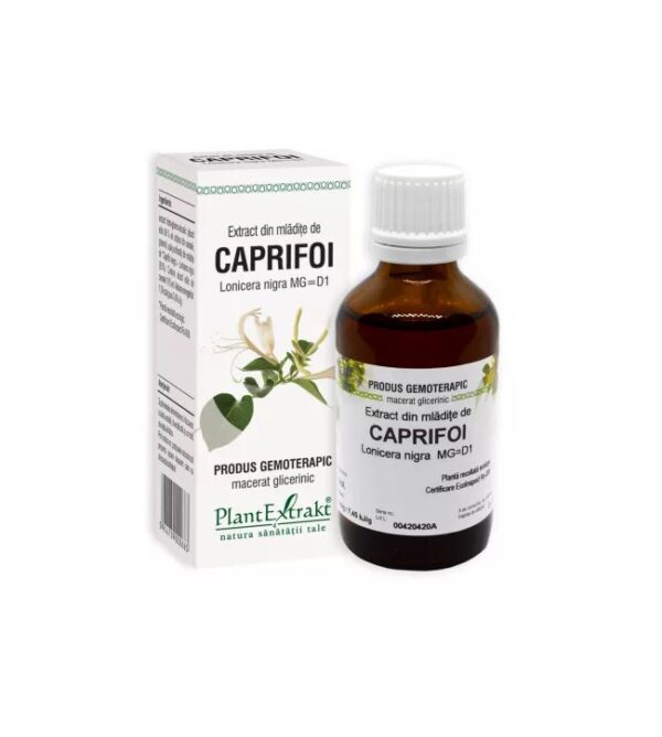 Extract din Mladite de Caprifoi, 50 ml, Plant Extrakt