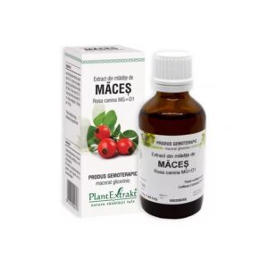 Extract din Mladite de Maces, 50 ml, Plant Extract