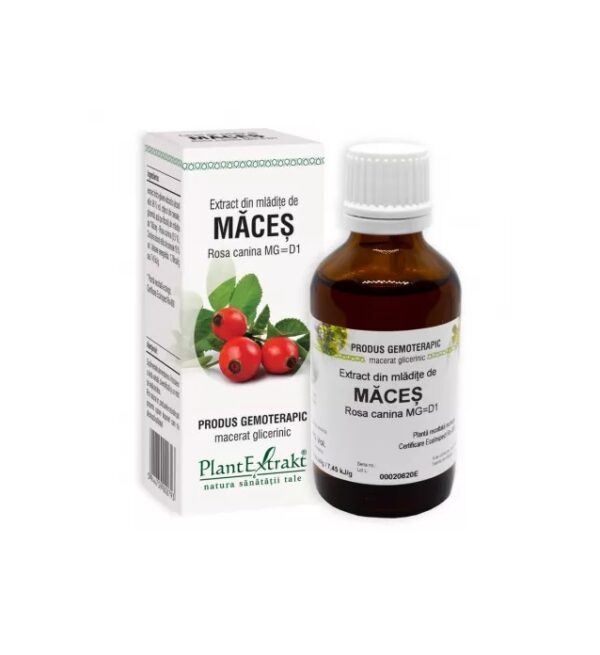Extract din Mladite de Maces, 50 ml, Plant Extract