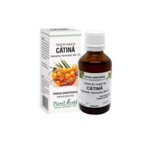 Extract din Muguri de Catina, 50 ml, Plant Extrakt