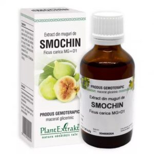 Extract din Muguri de Smochin, 50 ml, Plant Extrakt